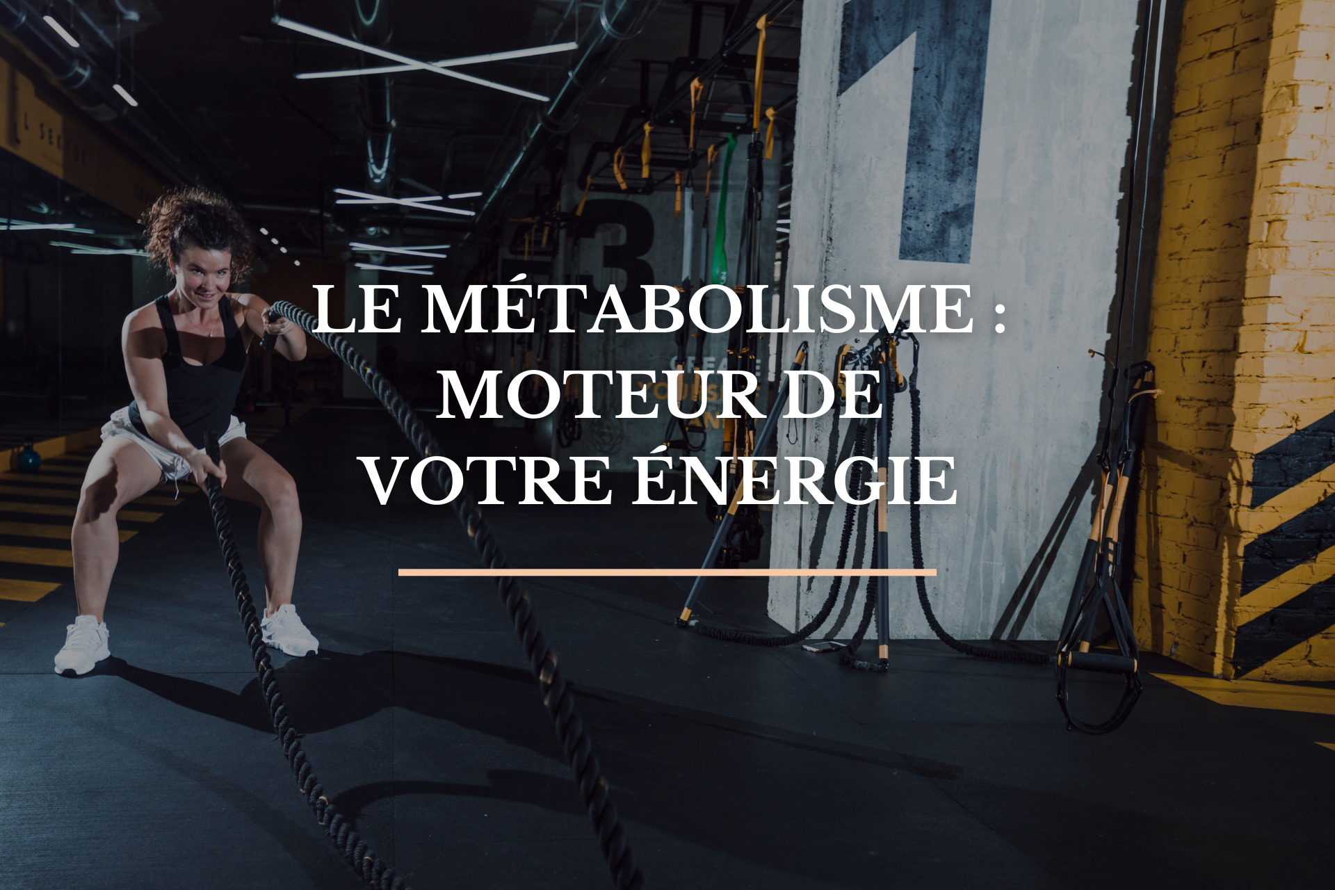 LE MÉTABOLISME : MOTEUR DE VOTRE ÉNERGIE